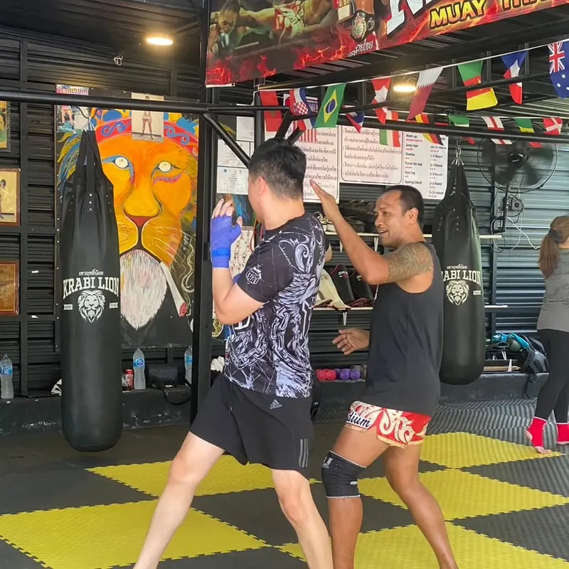 A heavy bag hanging in front of the gym's hand-painted lion mural.