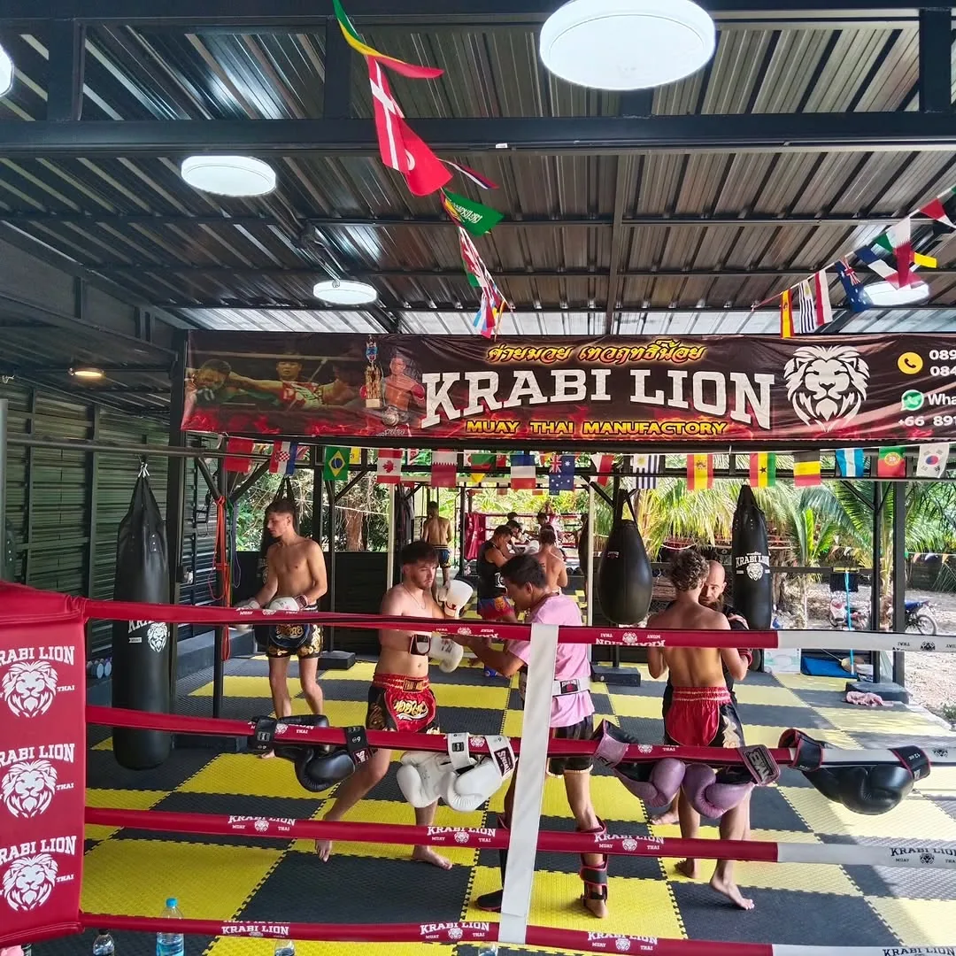 The covered training floor: heavy bags, the ring, and flags overhead.